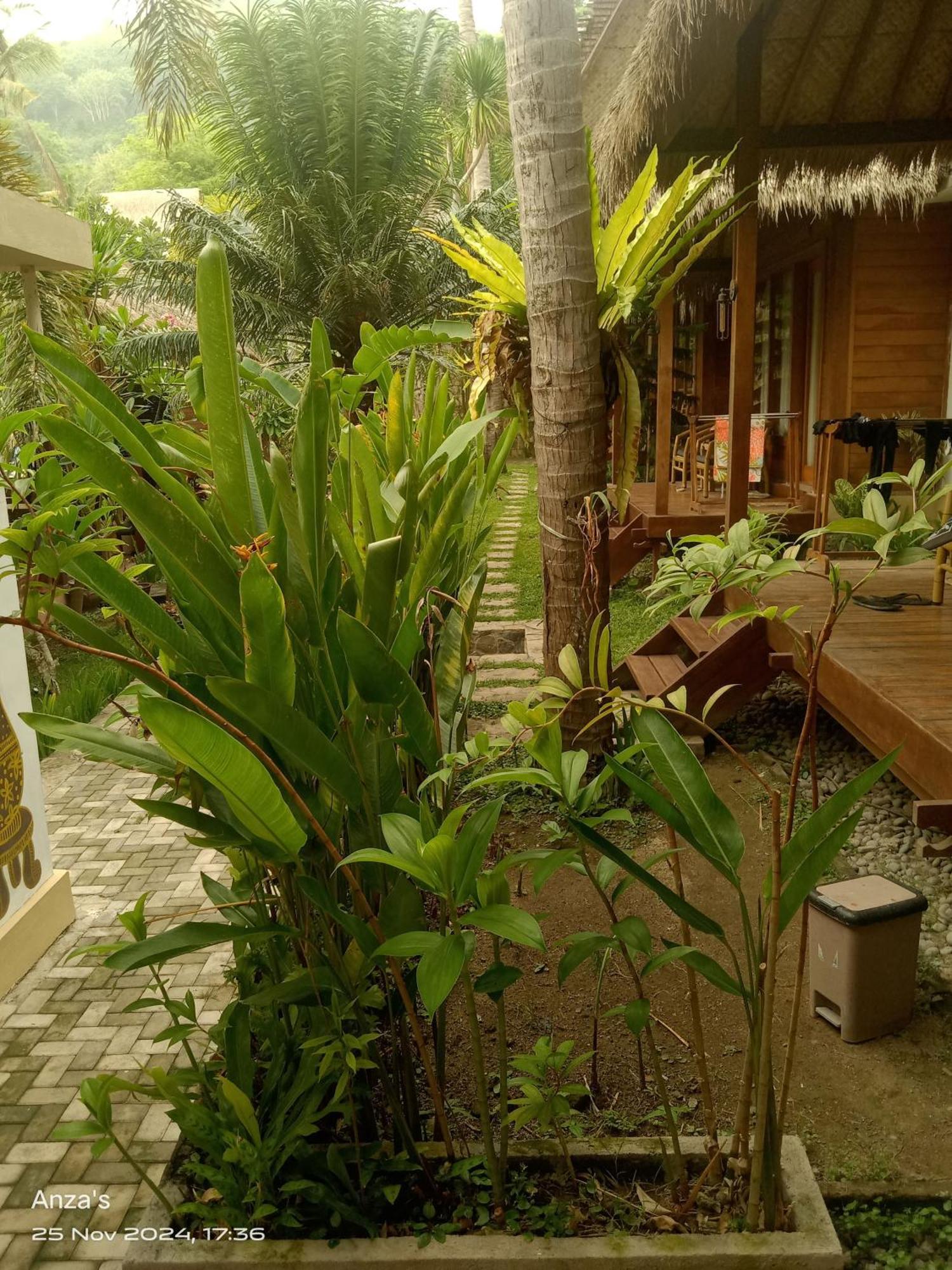 Kuta  Village Vibes Lombok מראה חיצוני תמונה
